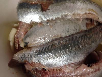 いわしのおかられんこんバーグ