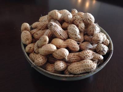 落花生の塩茹で