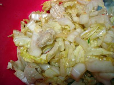 白菜と蒸し鶏のナムルサラダ