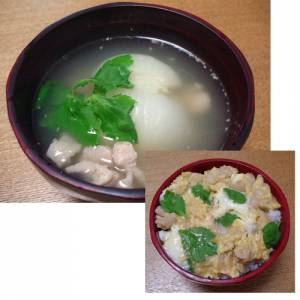 新たまねぎの丸ごと煮