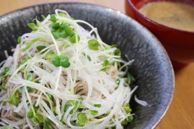 大根そば レモンごまつゆ添え