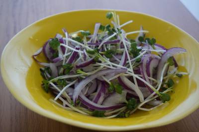 新たまねぎのだしドレサラダ