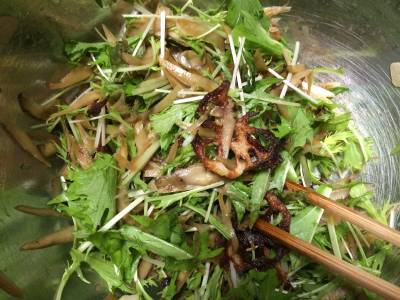水菜ときんぴらごぼうのピリ辛サラダ