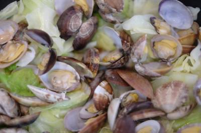 あさりと春キャベツのサッと蒸し