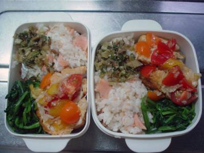 塩ざけご飯のおにぎり