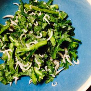 春菊とじゃこのごまあえ