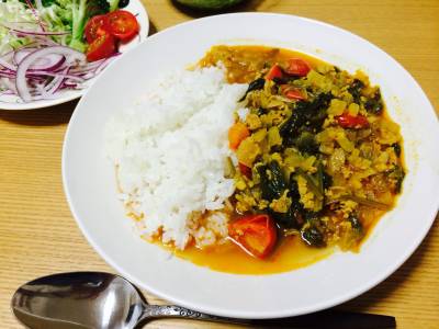ほうれんそうのキーマカレー