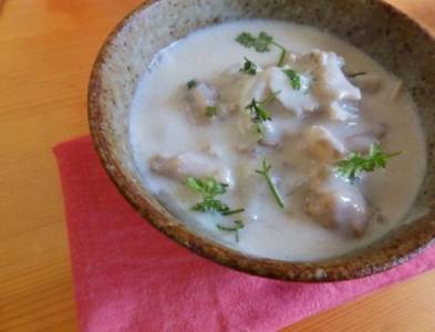 これでもクリームシチュー