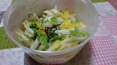 白菜の即席漬け