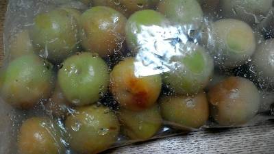 梅干し-簡単袋漬け-1塩漬け