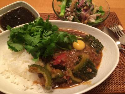 ゴーヤーとトマトのサラサラカレー