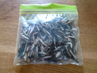 冷凍ごぼう・にんじんミックス(2)