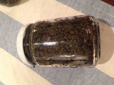 しその実の佃煮