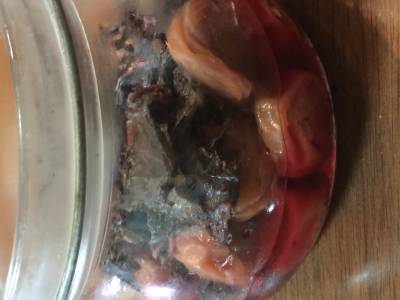 道具いらずの梅干し