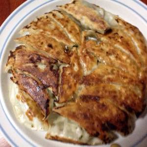 豚肉と野菜のギョーザ