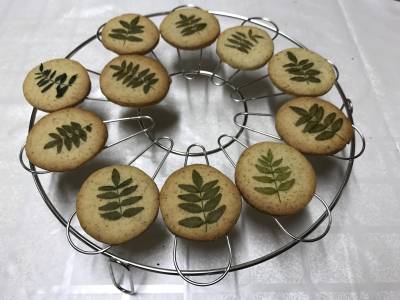 桜のシフォンケーキ