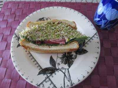 厚切りベーコン&スプラウトサンド