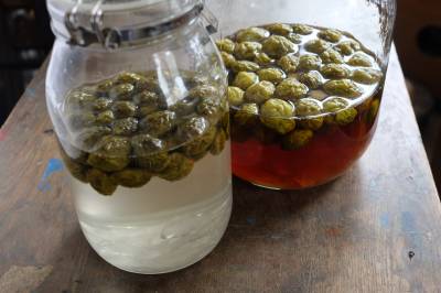 梅シロップジュース