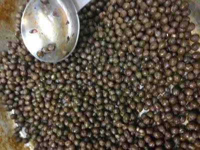 実山椒のつくだ煮