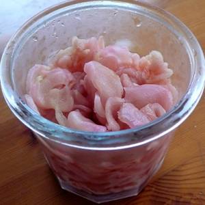 新しょうがのうす塩漬け