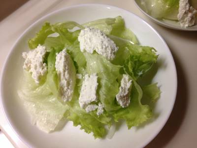 カッテージチーズ・レタスサラダ
