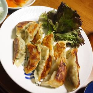パリパリ焼きギョーザ