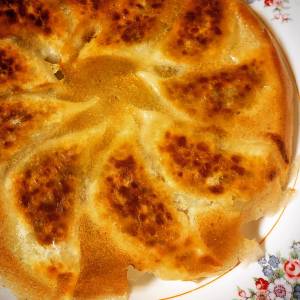 豚肉と野菜のギョーザ