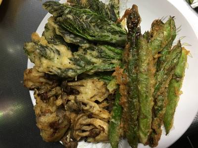 たらの芽のフリッター