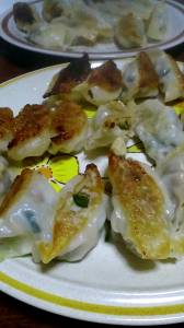 豚肉と野菜のギョーザ