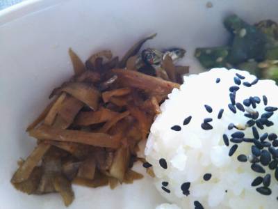 卵焼きのお弁当