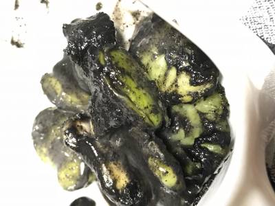 そら豆のごまよごし