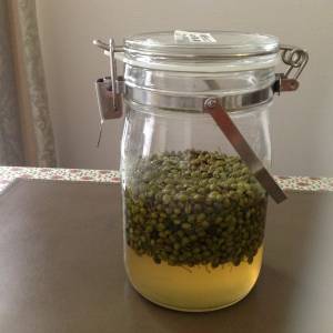 山椒茶（実山椒のはちみつ漬け）