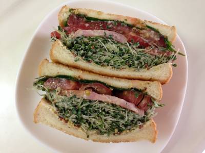 厚切りベーコン＆スプラウトサンド