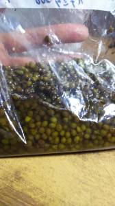 山椒茶（実山椒のはちみつ漬け）