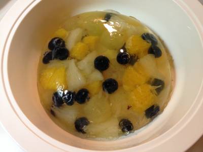 フルーツドームゼリー