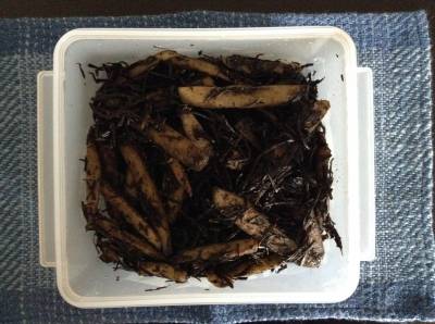 ごぼうとひじきのきんぴら