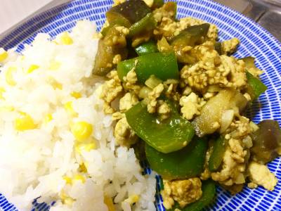 なすと鶏肉のドライカレー