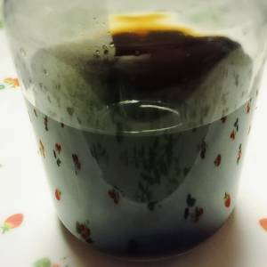 めんつゆ(濃いめ)