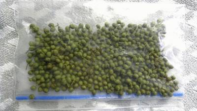 実山椒の下ごしらえ