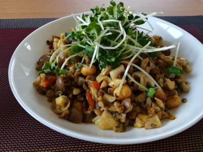 大豆入りドライカレー