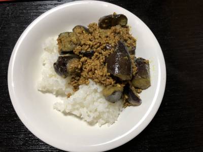 有元風なすのドライカレー