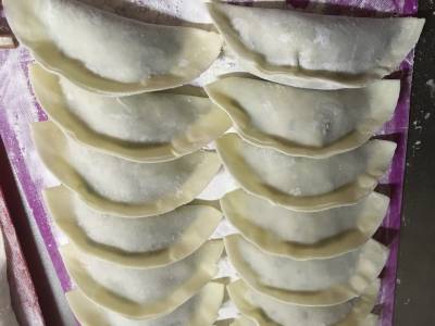 豚肉と野菜のギョーザ