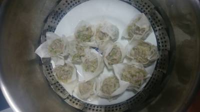 塩キャベツたっぷりのシューマイ