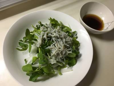 クレソンとスライスオニオンのサラダ