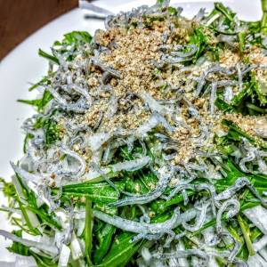 水菜と大根のサラダ