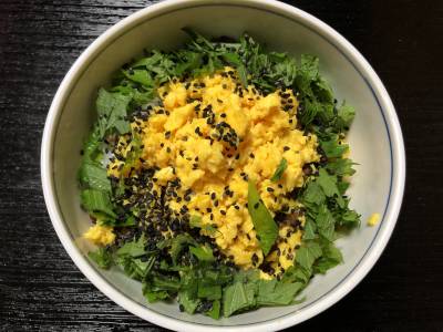 青じそと黒ごまのそぼろご飯