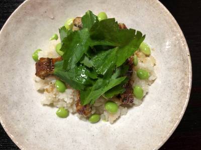 うなぎの混ぜご飯