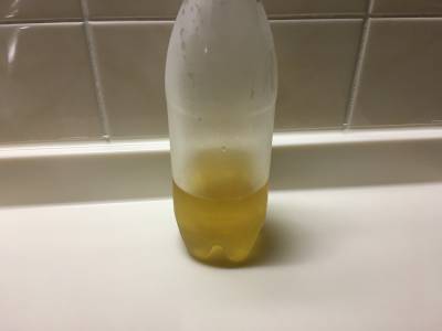 かつおと昆布のだし