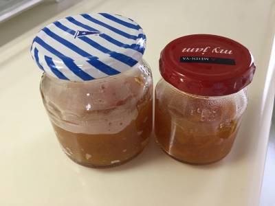 金柑（きんかん）マーマレードのババロア