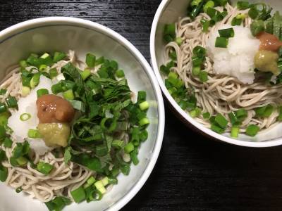 ぶっかけおろし梅そば